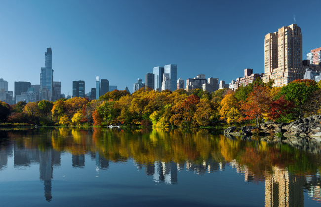 rooms-central-park